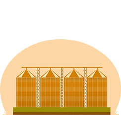 Daawat Rice ageing process